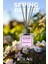 Bahar Esintisi Çubuklu Oda Kokusu Bambu Kokusu Kare Şişe Spring Breeze Reed Diffuser 100ml 9