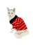 Red Stripe Elegance Polo Yaka Tişört Kedi Kıyafeti Kedi Elbisesi 1