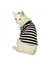 Grass Hopper Stripe Polo Yaka Tişört Kedi Kıyafeti Kedi Elbisesi 1