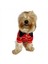Red Stripe Elegance Polo Yaka Tişört Köpek Kıyafeti Köpek Elbisesi 1