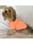 Salmon Flash Polo Yaka Tişört Köpek Kıyafeti Köpek Elbisesi 2