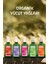 Organik Yabani Gül Özlü Yenileyici Vücut Bakım Yağı 100ml 4