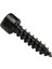 Gryphon Lite Hex Screw 5mm 1