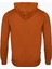 Kennebec River Hood Logolu Erkek Sweatshirt Umber 2