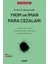 Yıkım ve Imar Para Cezaları - Ali Rıza İlgezdi 1