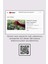 Tekno Trust Yılbaşı Süslemeleri Karlı Çam Ağacı Sticker Çıkartma 78X100CM - Sarı 4