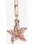 Parıltılı Deniz Yıldızı Sallantılı Charm 788942C01 2