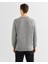 Erkek Gri Regular Fit Bisiklet Yaka Kazak 8040200.93 2