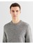Erkek Gri Regular Fit Bisiklet Yaka Kazak 8040200.93 4