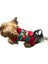 Kırmızı Xmas Deer Küçük Köpek Kazağı 3