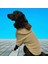 Beige Premium Peluş Büyük Irk Köpek Sweatshirtü (21 Kg-50 kg Arası Köpeklere Uygundur) 5