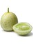 20 Adet Organic Crystal Apple Cucumber Tohumu 1