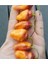 10 Adet Rare Bolivian Bumpy Biber Tohumu 2