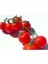 Agrobazar Delıcıous Salkım Cherry Domates Ortalama 25+ Tohum 2