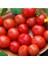 20 Adet Riesentraube Domates Tohumu 1