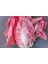 100 Adet Ithal Pembe Marul Tohumu 1