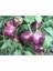 40 Adet Sweet Lilac Bell Dolmalık Biber Tohumu 2