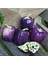 40 Adet Sweet Lilac Bell Dolmalık Biber Tohumu 3