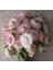 10 Adet Unique Strawflower Tohumu 1