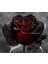 5 Adet Red And Black Rose Gül Tohumu 2