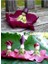 5 Adet Mixed Color Hollyhock Tohumu 4