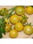 20 Adet White Currant Domates Tohumu 1