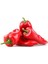 Kapya Biber (Kapia Pepper) 25 Adet Tohum 2