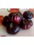 20 Adet Black Krim Domates Tohumu 1