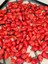 20 Adet Inca Red Drop Biber Tohumu 2
