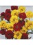 10 Adet Cold Resistant Multilayer Mixed Geum Tohumu 1