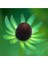 20 Adet Black Coneflower Green Wizard Tohumu 2