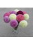 10 Adet Pom Pon Dahlia Tohumu 4