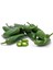 Ithal Jalapeno Kırmızı Acı Meksika Biberi Tohumu 40 Adet Tohum 2