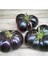 Siyah Domates Tohumu 20 Adet Tohum Black Tomato 5