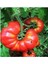 Etli Yayla Tipi Köy Domatesi Tohumu 25 Tohum 1