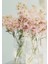 5 Adet Apricot Matthiola Incana Tohumu 2