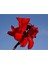 5 Adet Red Canna Lily Tohumu 1