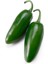 Acı Jalapeno Biberi Tohumu 20+ Adet 4