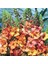 20 Adet Mıxed Colors Verbascum Tohumu 1
