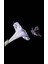 5 Adet Sacred Fragrant Moon Tohumu 2