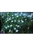 5 Adet Sacred Fragrant Moon Tohumu 3