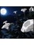 5 Adet Sacred Fragrant Moon Tohumu 4