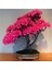 Bodur Pembe Azalea Bonsai Ağacı Tohumu 5 Adet Tohum 1