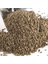 Anason Tohumu 1 kg 2