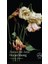 Zaman Bir Anne - Ocean Vuong 1
