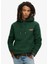 Kapüşon Yaka Yeşil Erkek Sweatshırt M2013110A27E_ESSENTIAL Logo Hoodıe 1