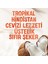 Şekersiz Hindistan Cevizi Sütü 2x1 L Vegan Laktozsuz Bitkisel Bazlı 5