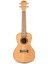 Fm-C Flame Maple Concert Ukulele 1