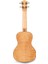 Fm-C Flame Maple Concert Ukulele 2