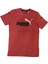 Ess 2 Col Logo Tee Erkek Tshirt 1